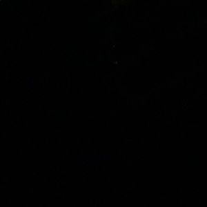 Meet your Posher, Judith